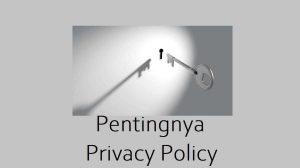 Pentingnya Privacy Policy, Disclaimer, dan Terms of Service di Website