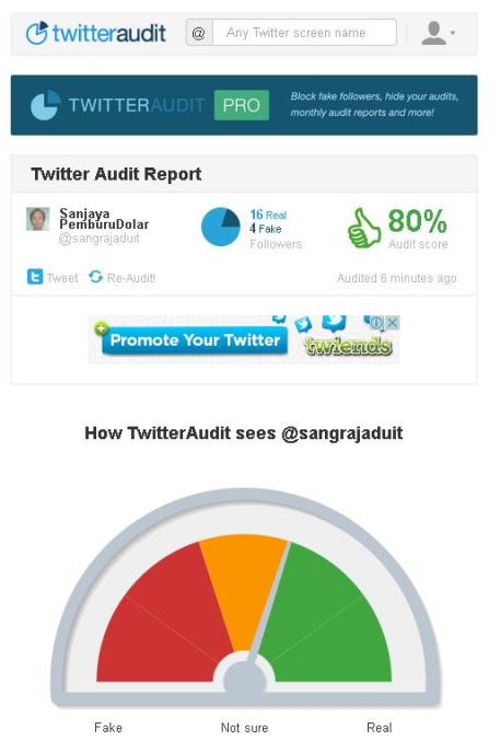 Twitter audit report