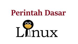 13+ Kumpulan Perintah Dasar Linux: Debian, dan Ubuntu Lengkap untuk Pemula
